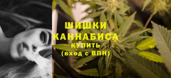 индика Россошь