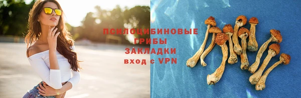 индика Россошь
