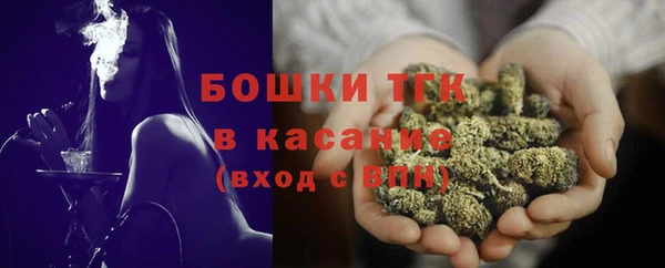 индика Россошь
