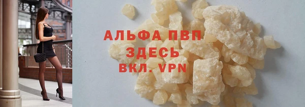индика Россошь