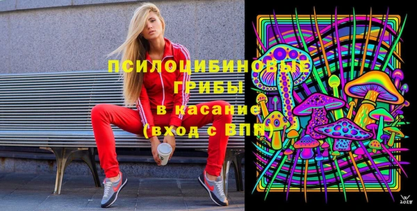 ALPHA PVP Рославль