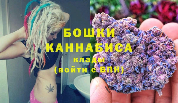 ALPHA PVP Рославль