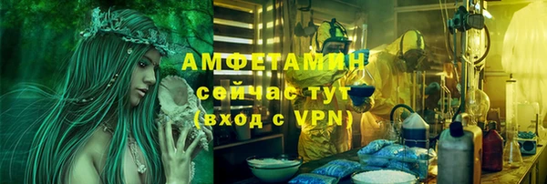 сатива Алзамай